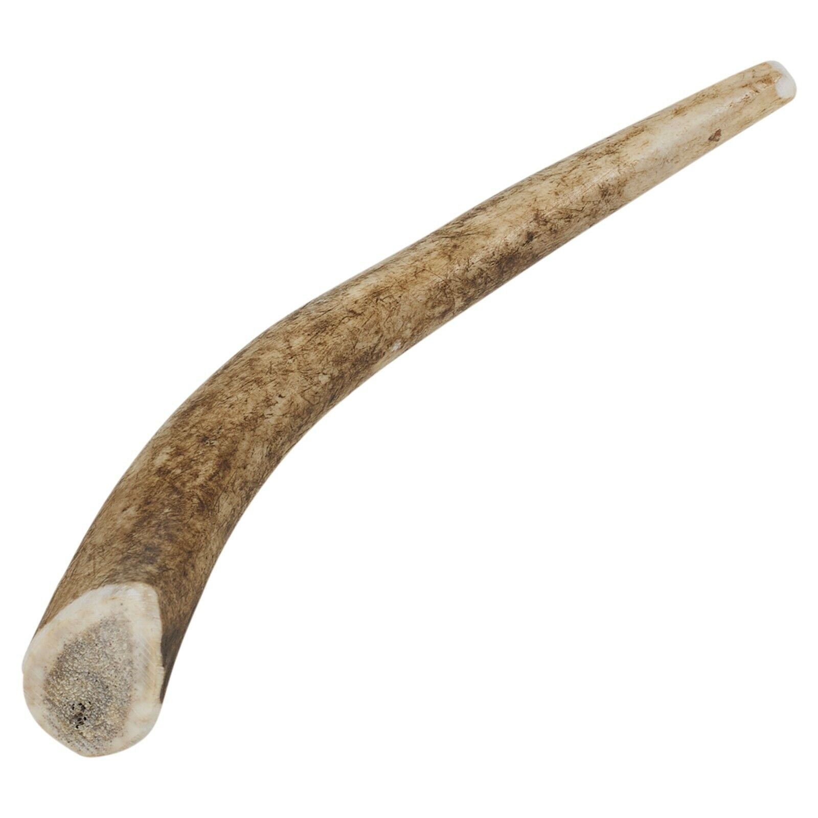 Genuine Natural Long Lasting Red Deer Elk Antlers Dog Chew Toy Treat