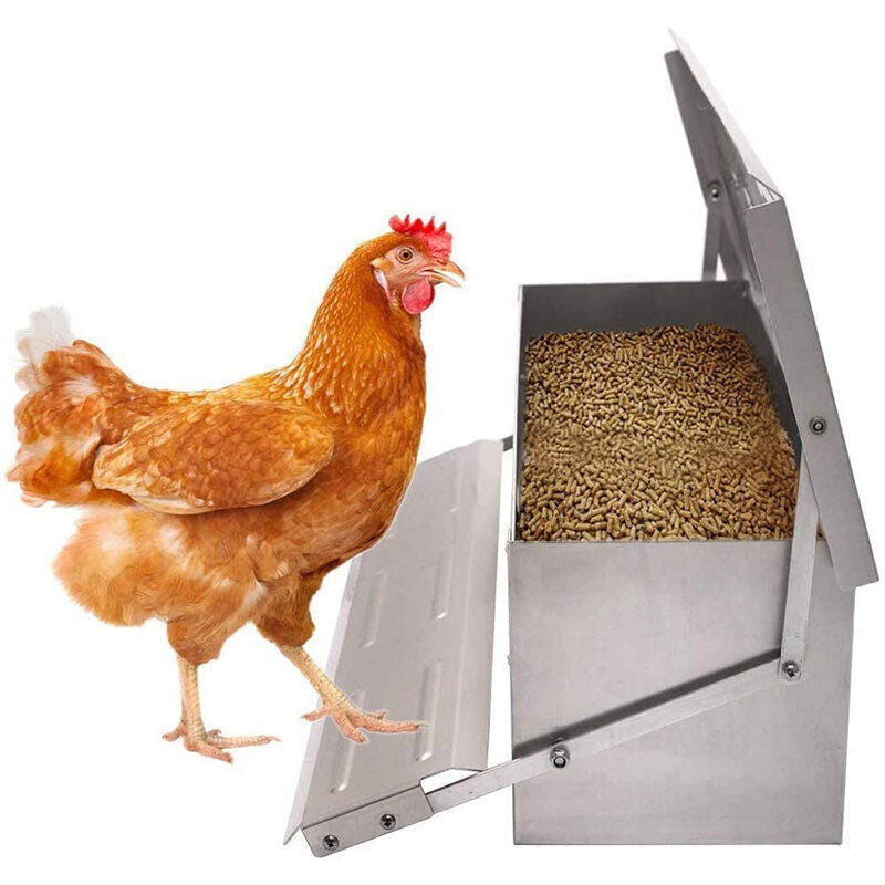 Automatic Chicken Feeder Galvanized Treadle Poultry Auto-Feeder Outdoor Garden
