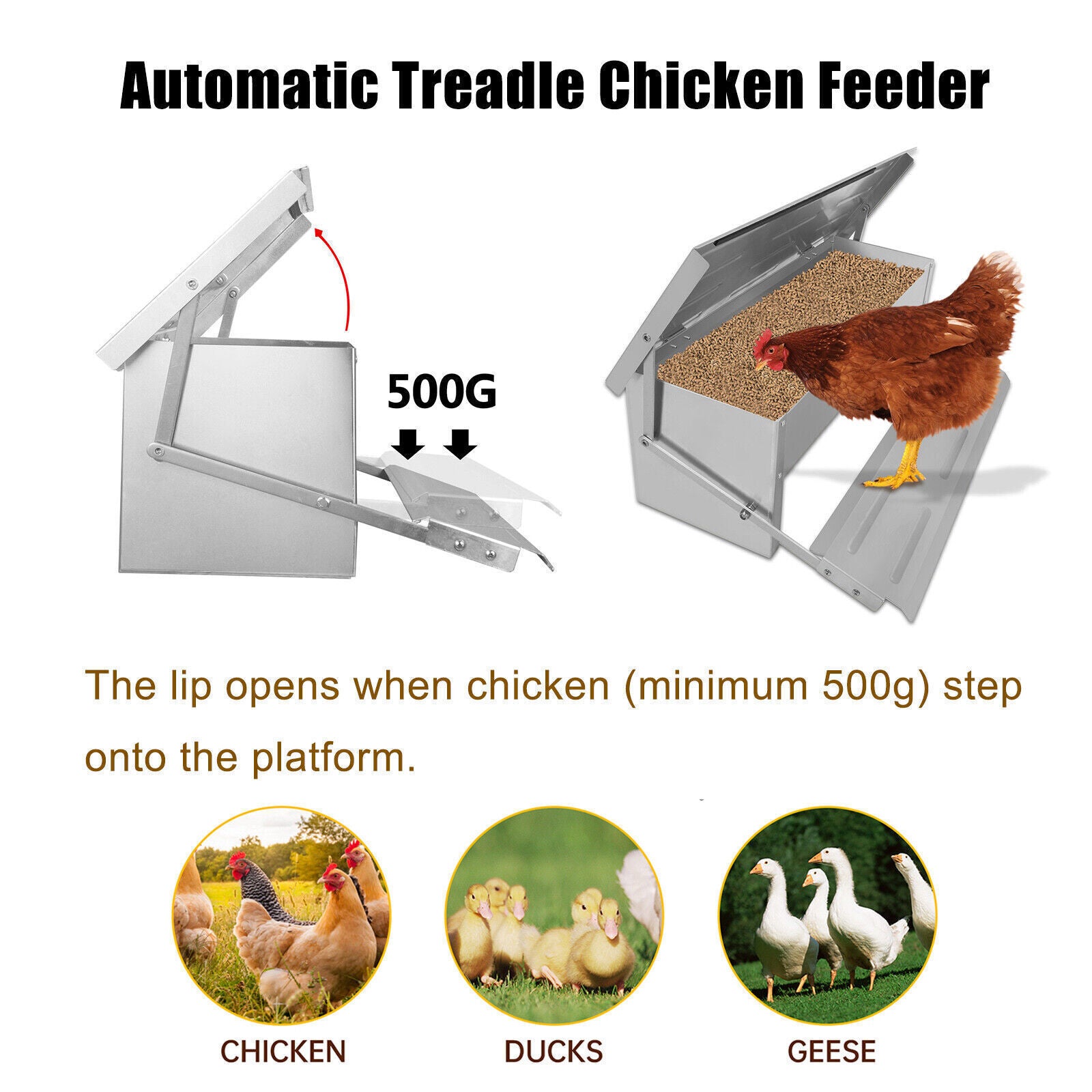 Automatic Chicken Feeder Galvanized Treadle Poultry Auto-Feeder Outdoor Garden