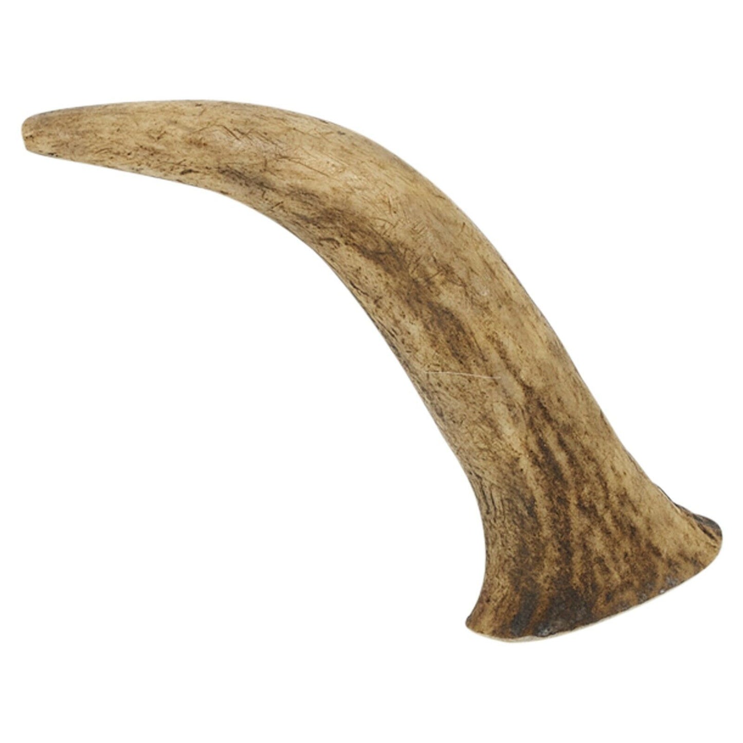 Genuine Natural Long Lasting Red Deer Elk Antlers Dog Chew Toy Treat