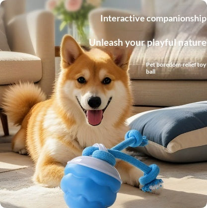 Rechargeable Smart Dog Ball Toy