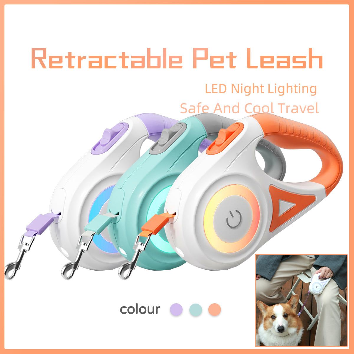 Dog Leash Retractable Leash And Dog Collar