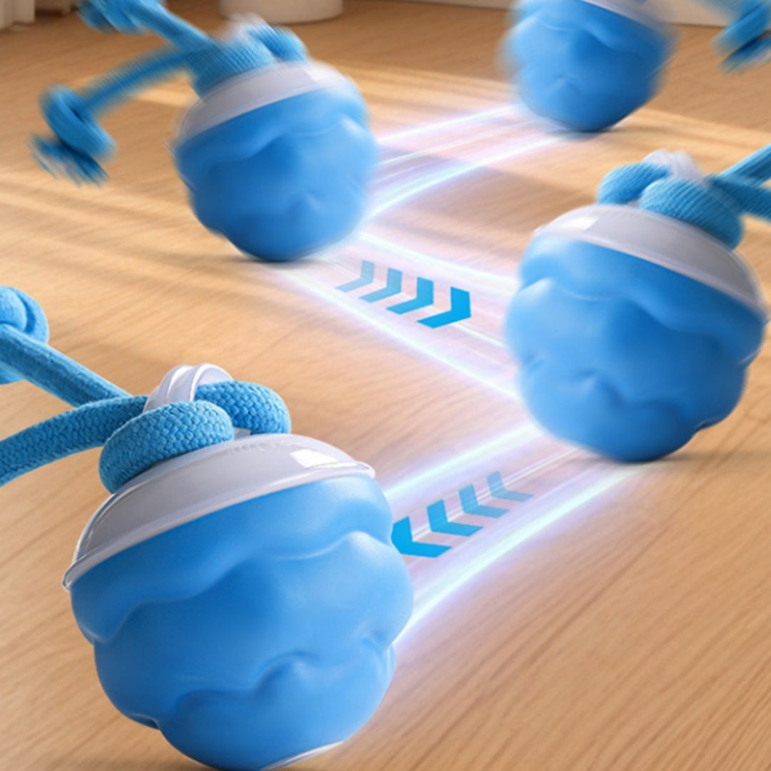 Rechargeable Smart Dog Ball Toy