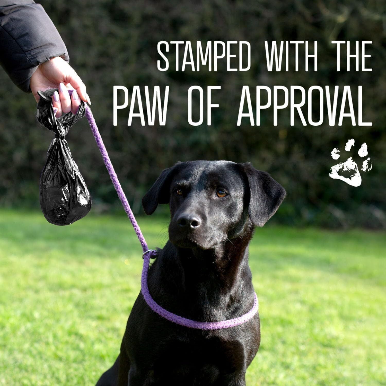 Dog Poo Bags 270 Biodegradable Doggie Poop Bags Thick Refill Rolls Tie Handles