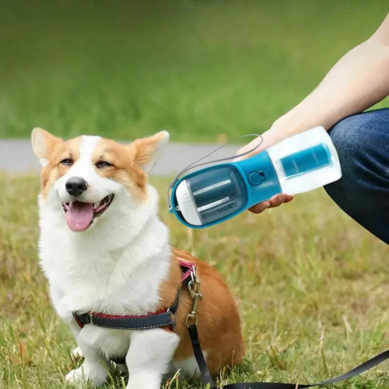 3-in-1 Portable Dog Travel Cup