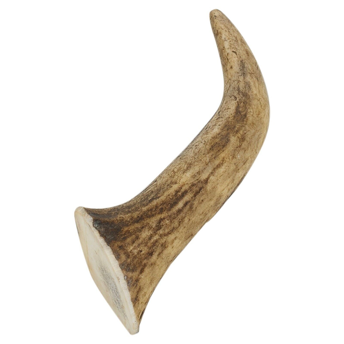 Genuine Natural Long Lasting Red Deer Elk Antlers Dog Chew Toy Treat