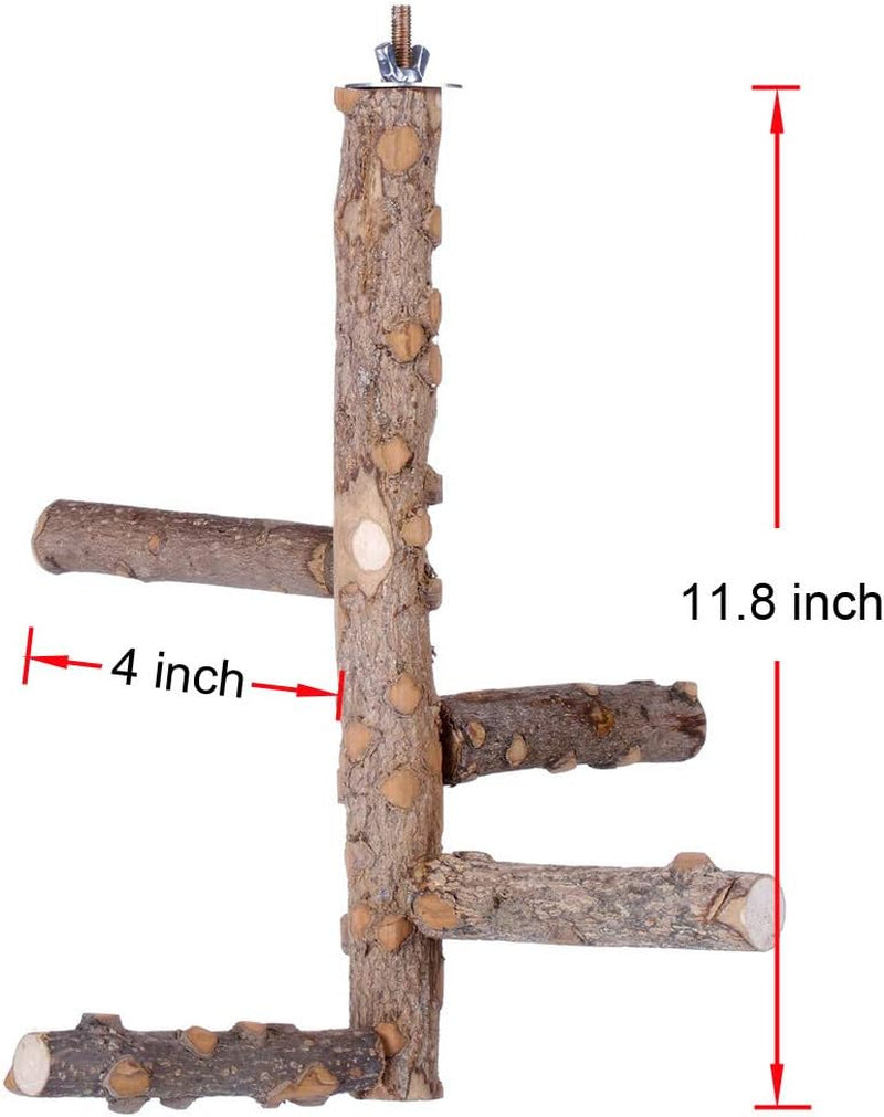Bird Perch Nature Wood Stand for 3-4Pcs Small Medium Parrots (S-For Small Parrots)