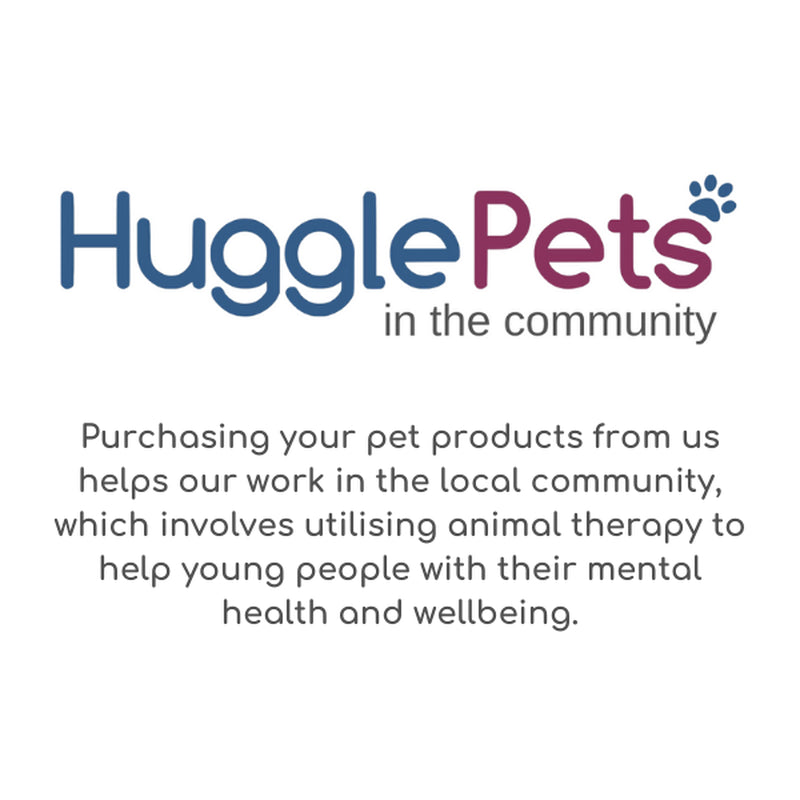 Dog Chew Toys Zeus Nosh Chicken Bacon Beef Cheese Flavour Trio Tough Nylon Stick