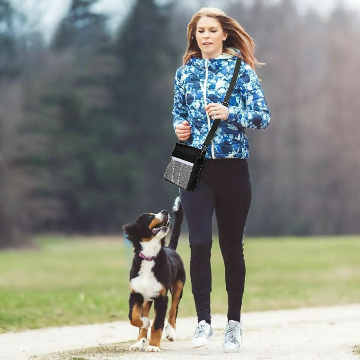 Dog Walking Training Obedience Treat Pouch Portable Pet Puppy Snack Belt Bag UK