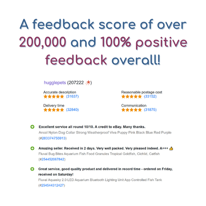 Dog Chew Toys Zeus Nosh Chicken Bacon Beef Cheese Flavour Trio Tough Nylon Stick